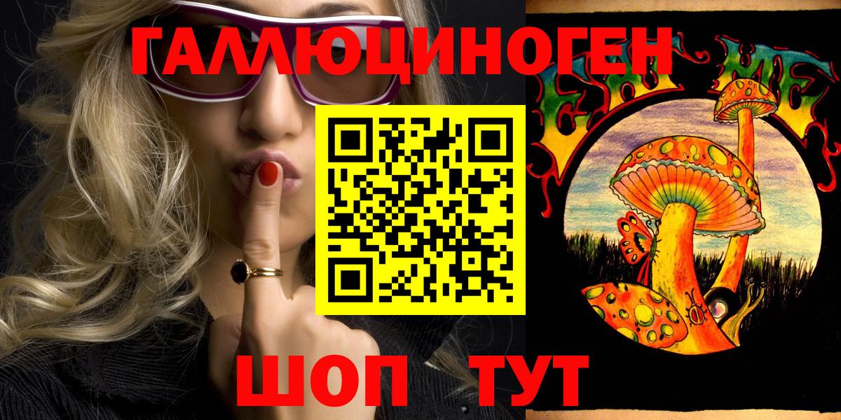 Псилоцибиновые грибы GOLDEN TEACHER Кострома
