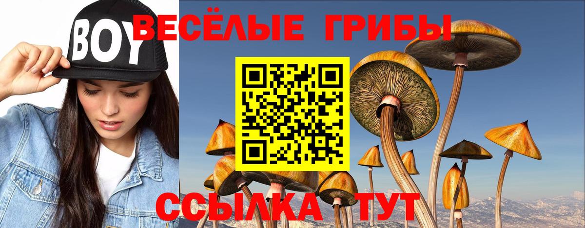 Кострома  МАРИХУАНА  АМФЕТАМИН   ГАШИШ  Меф кристаллы  ЭКСТАЗИ  NBOMe  Вход с VPN  КОКАИН 