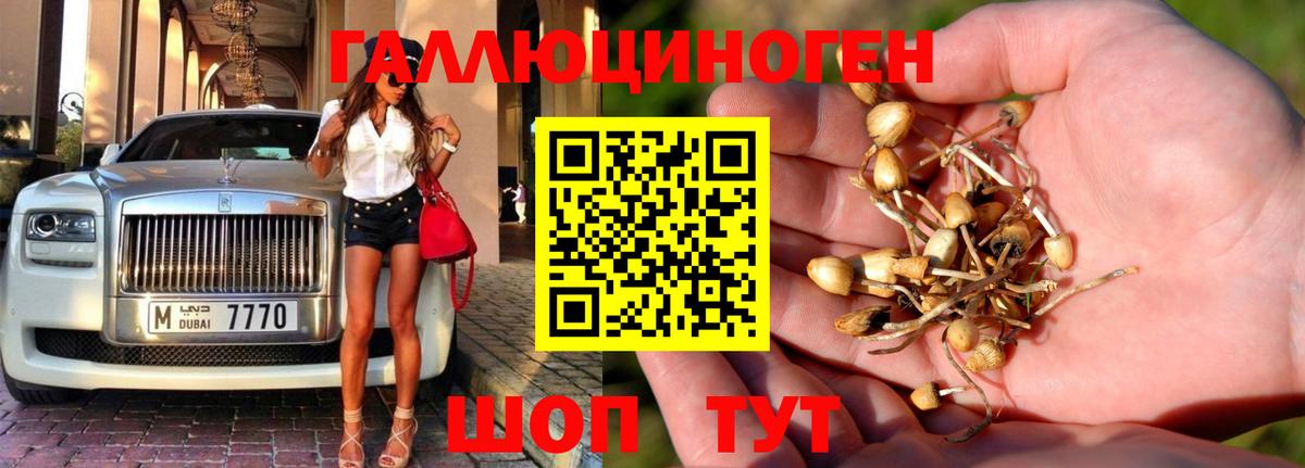 даркнет сайт  Псилоцибиновые грибы мицелий  Вход с VPN  Кострома 